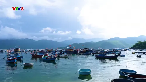 Ký sự: Cuộc sống thủy cung 🌊🐠⛵✨🏝️