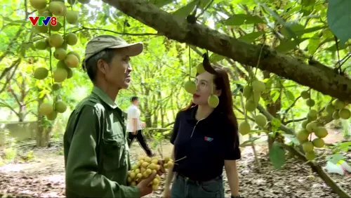 Muôn màu cuộc sống: Vườn dâu tiên Bình Điền 🍓 
