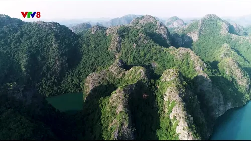 Phim tài liệu Thiên nhiên quần đảo Cát Bà - Phần 1