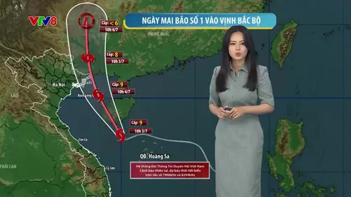 Dự báo thời tiết ngày 03/07: Bão số 1 áp sát Vịnh Bắc Bộ và cảnh báo mưa lớn diện rộng tại Trung Bộ