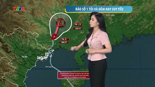 Dự báo thời tiết ngày 05/07/2026: Bão số 1 suy yếu dần, cảnh báo mưa dông trên đất liền Trung Bộ