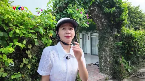 Đi để biết: Khám phá đảo chữ "Vạn" và trải nghiệm làm du lịch bền vững