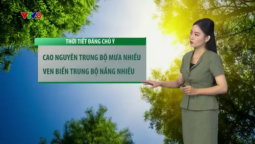 Dự báo thời tiết ngày 26/07/2026: Nơi đối mặt mưa lũ sạt lở, nơi ngập tràn nắng nóng có đáng lo?