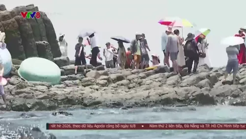 Trạm 18 giờ VTV8: Hơn 5,33 triệu lượt khách đến Đắk Lắk kết nối " Đại ngàn với biển xanh", Giải Vô địch Trẻ vật cổ điển - Vật tự do Quốc gia 2026, Giải Vô địch Bóng bàn Quốc gia Báo Nhân Dân 2026  