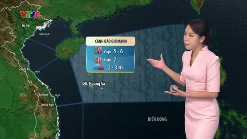 Dự báo thời tiết 17/8/2026: Biển Đông sóng to gió mạnh, các tỉnh từ Thanh Hóa đến Bắc Quảng Trị sắp đón mưa lớn diện rộng