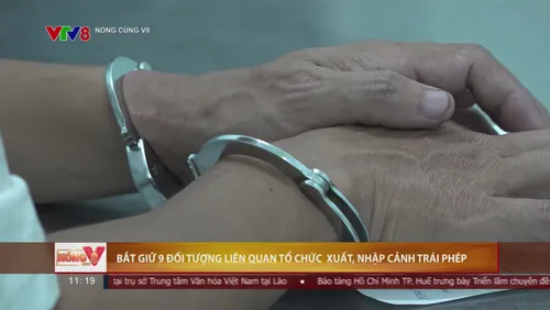 Điểm tin Nóng cùng V8 ngày 29/08/2026: Cảnh giác nhóm đối tượng xuyên quốc gia và đường dây buôn lậu lớn vừa bị triệt phá!