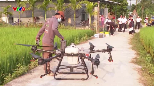 Quảng Ngãi: Đẩy mạnh chuỗi liên kết sản xuất nông nghiệp