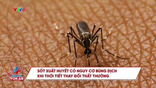 Bệnh viện On Air số 2: Phẫu thuật robot 1 cổng single - site