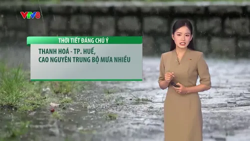 Dự báo thời tiết du lịch từ ngày 17/09/2026