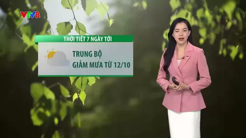 Dự báo thời tiết ngày 07-10-2026 Khu vực Trung Bộ sẽ bắt đầu xu hướng giảm mưa từ ngày 12/10