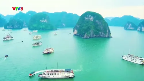 Cuộc thi Hoa hậu Du lịch Việt Nam 2028 chính thức khởi động 