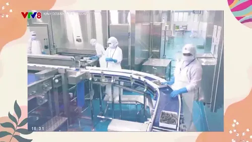 Kinh doanh Thị trường - 08/11/2024