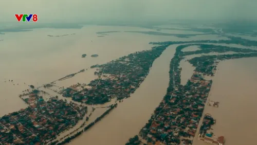 Phim Tài liệu đặc sắc: Dòng nước không lối về