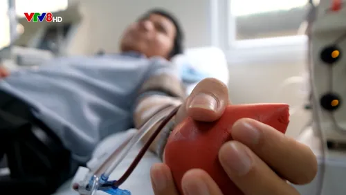 Muôn màu cuộc sống - Nhịp đập tuổi 23