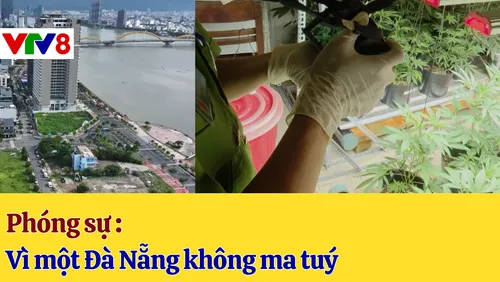Phóng sự : Vì một Đà Nẵng không ma tuý