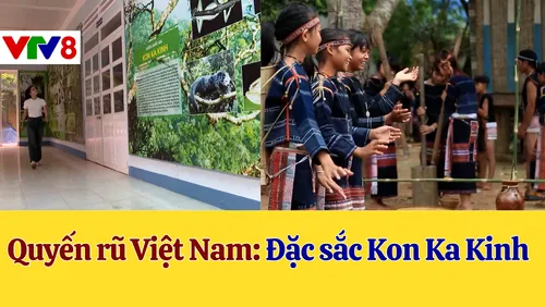 Khám phá Kon Ka Kinh – Nóc nhà hùng vĩ giữa đại ngàn Gia Lai