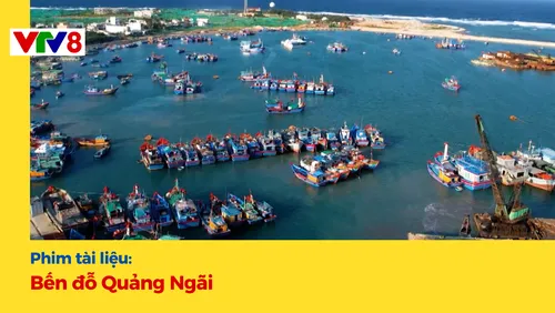 Phim tài liệu: Bến đỗ Quảng Ngãi