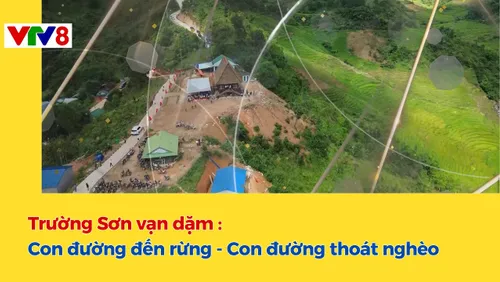 Trường Sơn vạn dặm: Con đường đến rừng - Con đường thoát nghèo