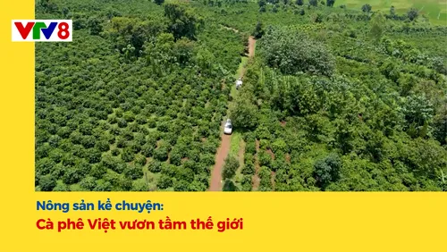 Nông sản kể chuyện: Cà phê Việt vươn tầm thế giới