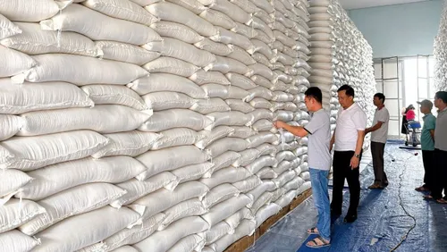 TP.Hồ Chí Minh ứng phó với biến động cung cầu gạo do xung đột địa chính trị, xăng dầu