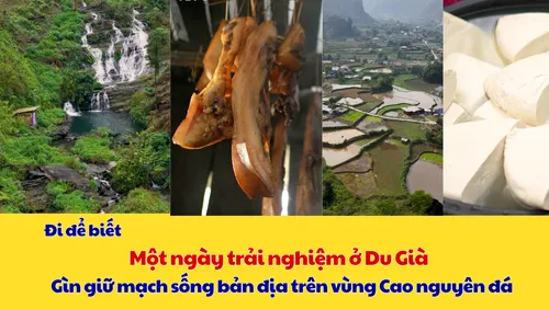 Đi để biết: Một ngày trải nghiệm ở Du Già 