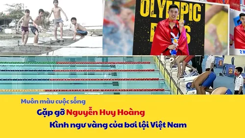 Kình ngư vàng của bơi lội Việt Nam 