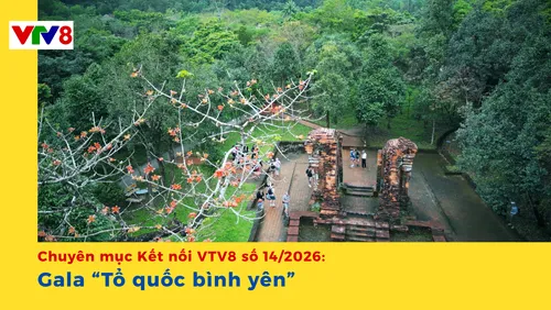 Kết nối VTV8: Gala "Tổ quốc bình yên"