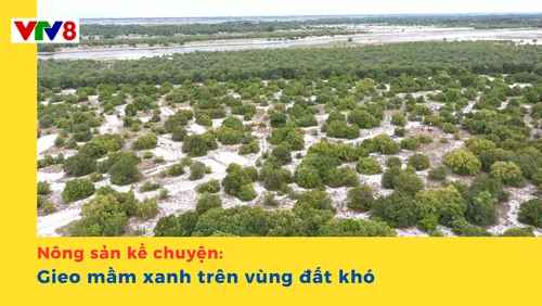 Nông sản kể chuyện: Gieo mầm xanh trên vùng đất khó