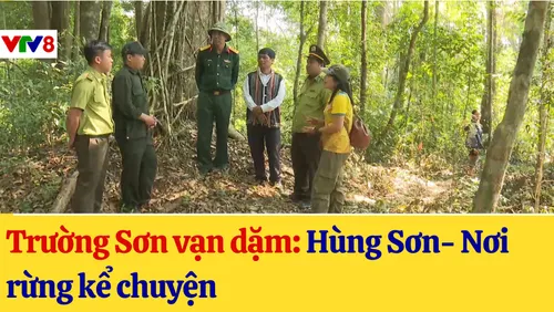 Trường Sơn vạn dặm: Hùng Sơn- Nơi rừng kể chuyện