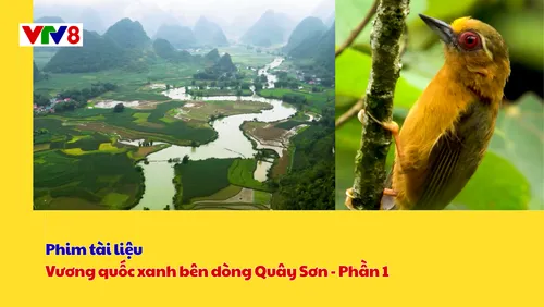 Phim tài liệu: Vương quốc xanh bên dòng Quây Sơn - Phần 1