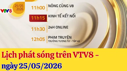 Lịch phát sóng chương trình trên VTV8 - 25/05/2026