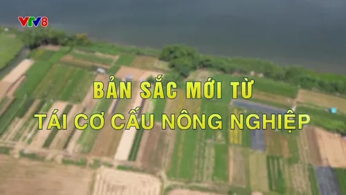  Phóng sự : Bản sắc mới từ tái cơ cấu nông nghiệp