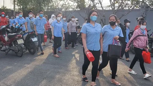 Doanh nghiệp trốn đóng bảo hiểm xã hội hết thời "mưu mẹo"
