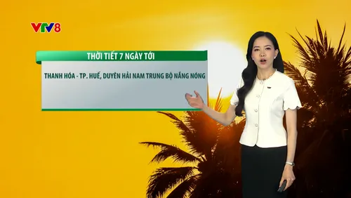 Dự báo thời tiết 7 ngày kế tiếp.