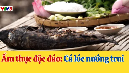 Ẩm thực độc đáo: Cá lóc nướng trui