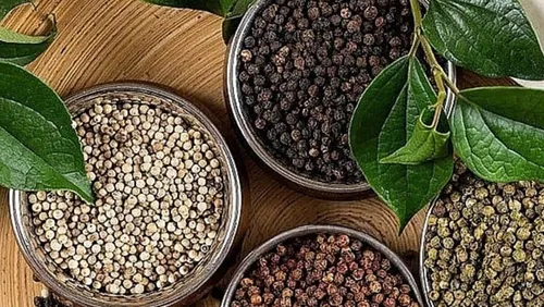 Bản tin nông sản hôm nay (5-6): Giá cà phê quay đầu giảm, giá hồ tiêu đi ngang