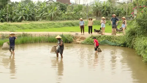 Nông sản kể chuyện: Du lịch canh nông - Tiềm năng và xu hướng