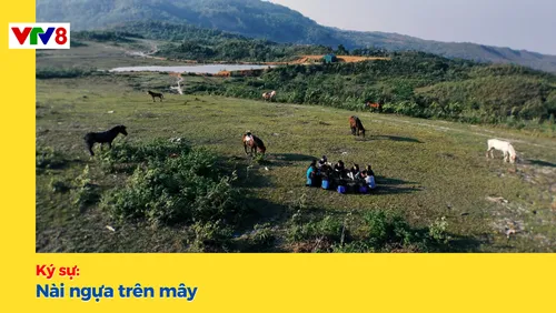 Ký sự: Nài ngựa trên mây