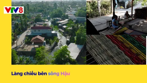 Từ những miền quê: Làng chiếu bên sông Hậu