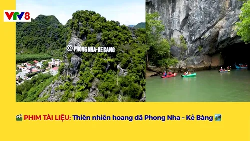 🎬 PHIM TÀI LIỆU: Thiên nhiên hoang dã Phong Nha – Kẻ Bàng 🏞️