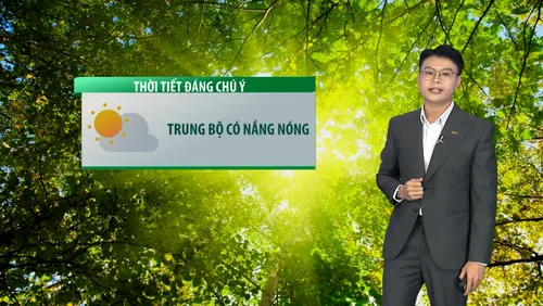 Dự báo thời tiết du lịch trong 7 ngày tới 