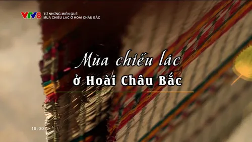 Từ những miền quê_Mùa chiếu lác ở Hoài Châu Bắc 