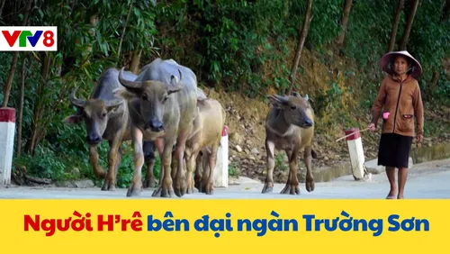 Người H'rê bên đại ngàn Trường Sơn