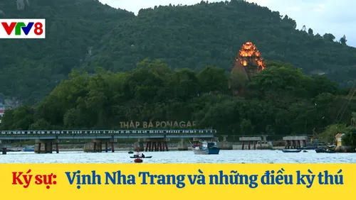 Ký sự:  Vịnh Nha Trang và những điều kỳ thú