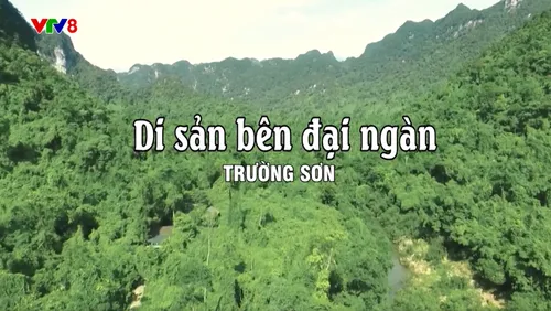 Di sản bên đại ngàn Trường Sơn🌿⛰️✨