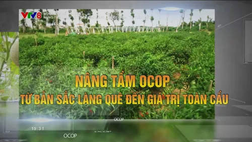 Nông sản kể chuyện: Nâng tầm OCOP - Từ bản sắc làng quê đến giá trị toàn cầu 