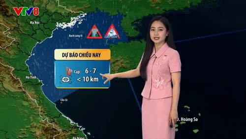 Bản tin DBTT 28/06/2026: BIỂN ĐỘNG DỮ DỘI, TRUNG BỘ NẮNG NÓNG ĐẾN 38°C
