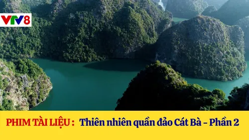 Phim tài liệu: Thiên nhiên quần đảo Cát Bà - Phần 2