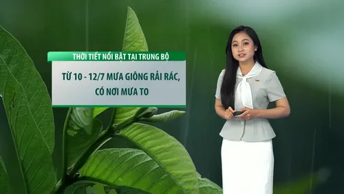 Dự báo thời tiết du lịch: Mưa giông rải rác và một số khu vực có mưa to tại Trung bộ