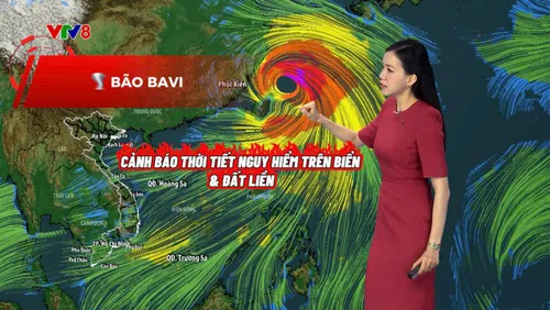 Dự báo thời tiết - 11/07/2026: Bão Bavi gây biển động dữ dội, miền Trung đón mưa lớn cục bộ  